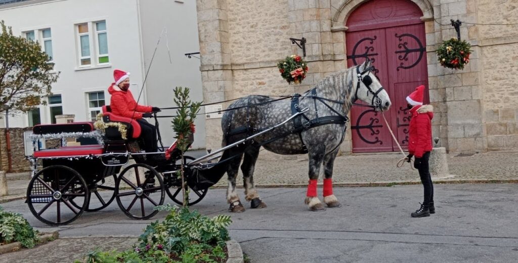 Marché de Noël en calèche